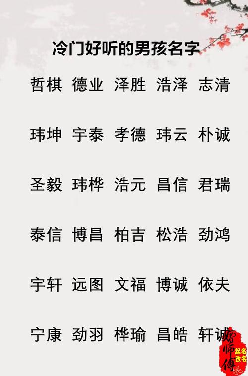 冷门却很高级的名字 ：冷门却很高级的名字男孩？