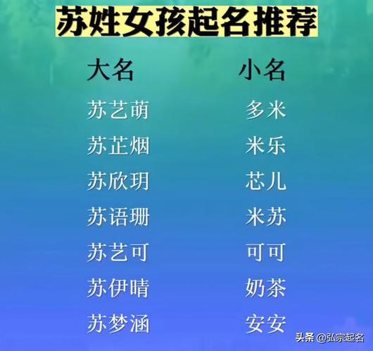 苏姓宝宝起名 ：苏姓宝宝起名字大全？