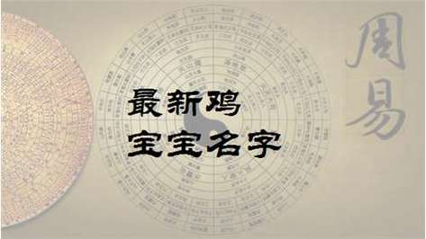 起名字鸡宝宝 ：起名字鸡宝宝好吗？