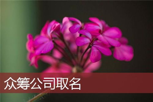 花卉公司起名 ：花卉公司起名大全集？