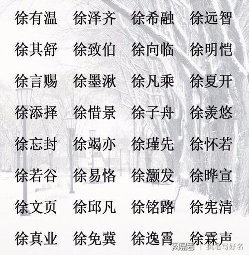 徐宝宝起名 ：徐宝宝起名大气的名字？