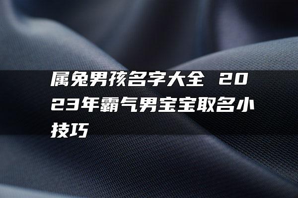 名字大全男孩 ：名字大全男孩取名字2023年属兔？