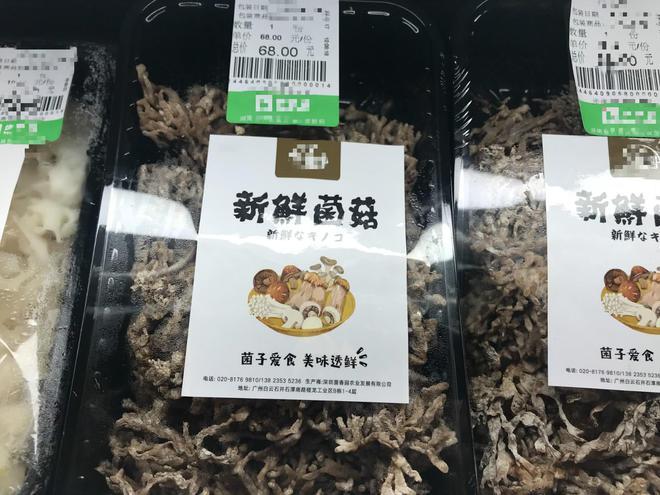 菌店铺起名 ：？