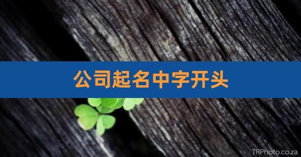 中字头公司起名 ：中字头公司起名字大全免费？