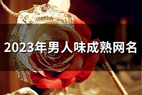 成熟网名男人味 ：成熟网名男人味二个字？