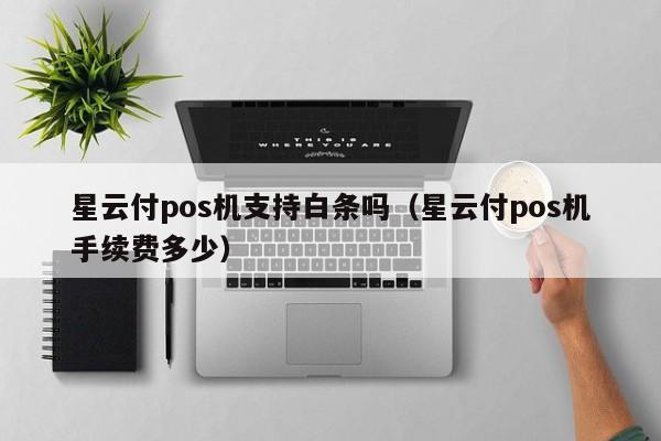 星云付pos机支持白条吗（星云付pos机手续费多少）