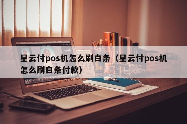 星云付pos机怎么刷白条（星云付pos机怎么刷白条付款）