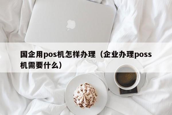 国企用pos机怎样办理（企业办理poss机需要什么）