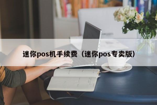 迷你pos机手续费（迷你pos专卖版）