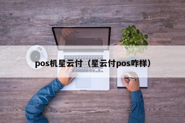 pos机星云付（星云付pos咋样）