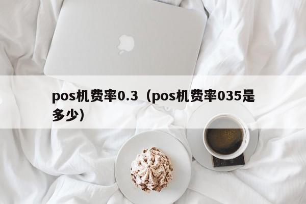 pos机费率0.3（pos机费率035是多少）