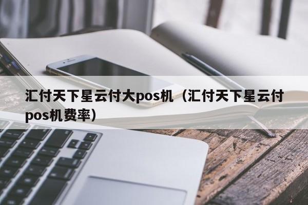 汇付天下星云付大pos机（汇付天下星云付pos机费率）