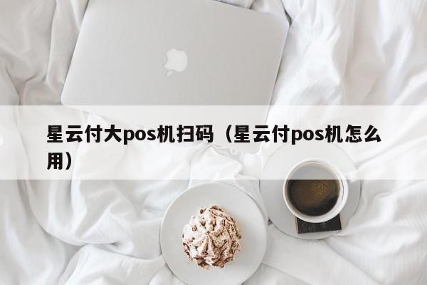 星云付大pos机扫码（星云付pos机怎么用）