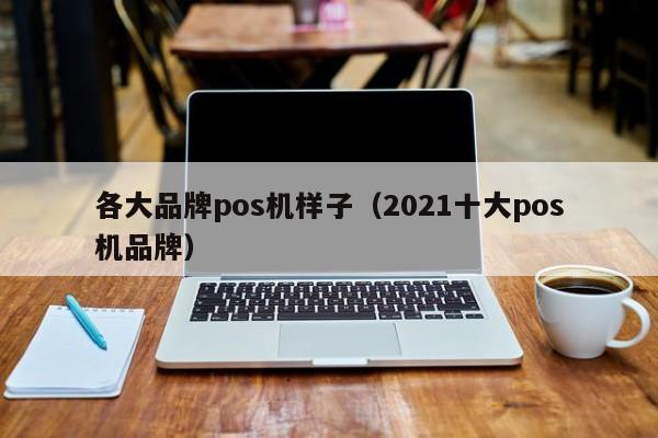 各大品牌pos机样子（2021十大pos机品牌）