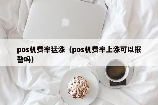 pos机费率猛涨（pos机费率上涨可以报警吗）