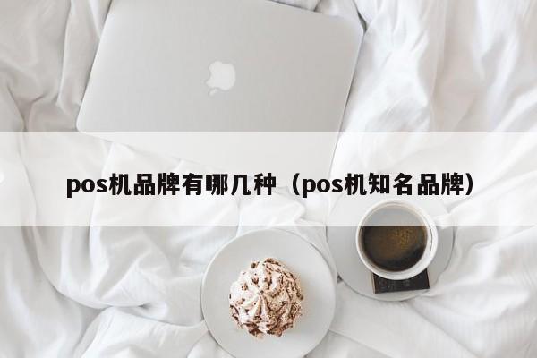 pos机品牌有哪几种（pos机知名品牌）