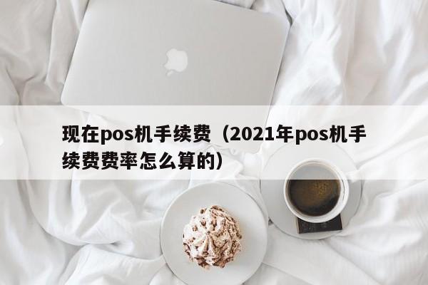 现在pos机手续费（2021年pos机手续费费率怎么算的）