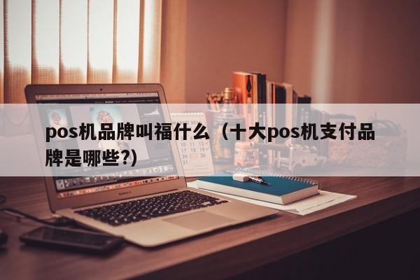 pos机品牌叫福什么（十大pos机支付品牌是哪些?）