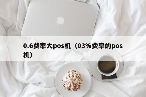 0.6费率大pos机（03%费率的pos机）