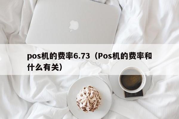 pos机的费率6.73（Pos机的费率和什么有关）