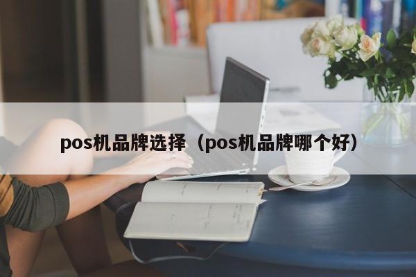 pos机品牌选择（pos机品牌哪个好）