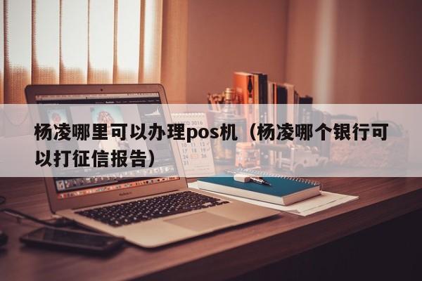 杨凌哪里可以办理pos机（杨凌哪个银行可以打征信报告）