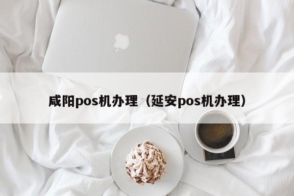 咸阳pos机办理（延安pos机办理）