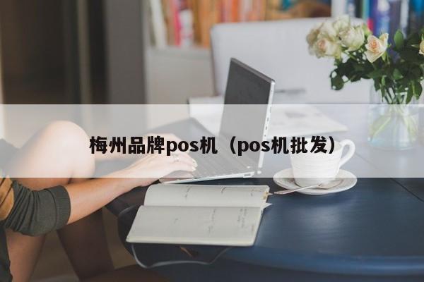 梅州品牌pos机（pos机批发）