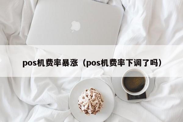 pos机费率暴涨（pos机费率下调了吗）