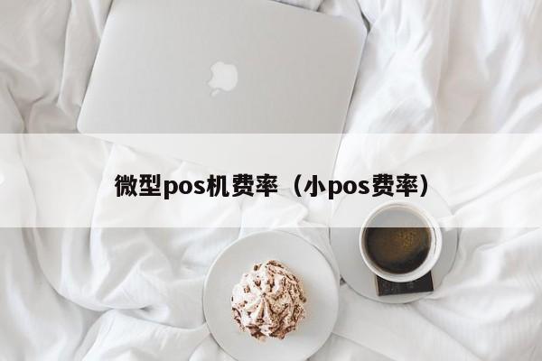 微型pos机费率（小pos费率）