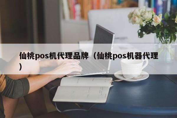 仙桃pos机代理品牌（仙桃pos机器代理）