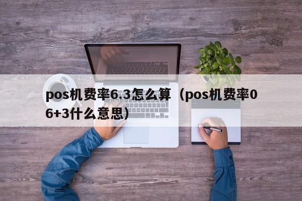 pos机费率6.3怎么算（pos机费率06+3什么意思）