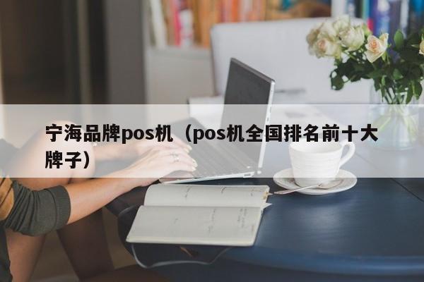 宁海品牌pos机（pos机全国排名前十大牌子）