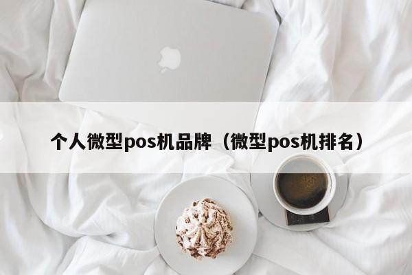 个人微型pos机品牌（微型pos机排名）