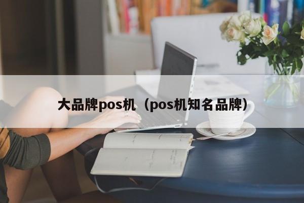 大品牌pos机（pos机知名品牌）