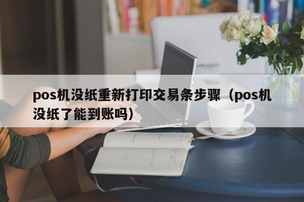 pos机没纸重新打印交易条步骤（pos机没纸了能到账吗）