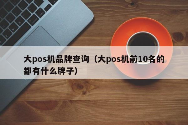 大pos机品牌查询（大pos机前10名的都有什么牌子）